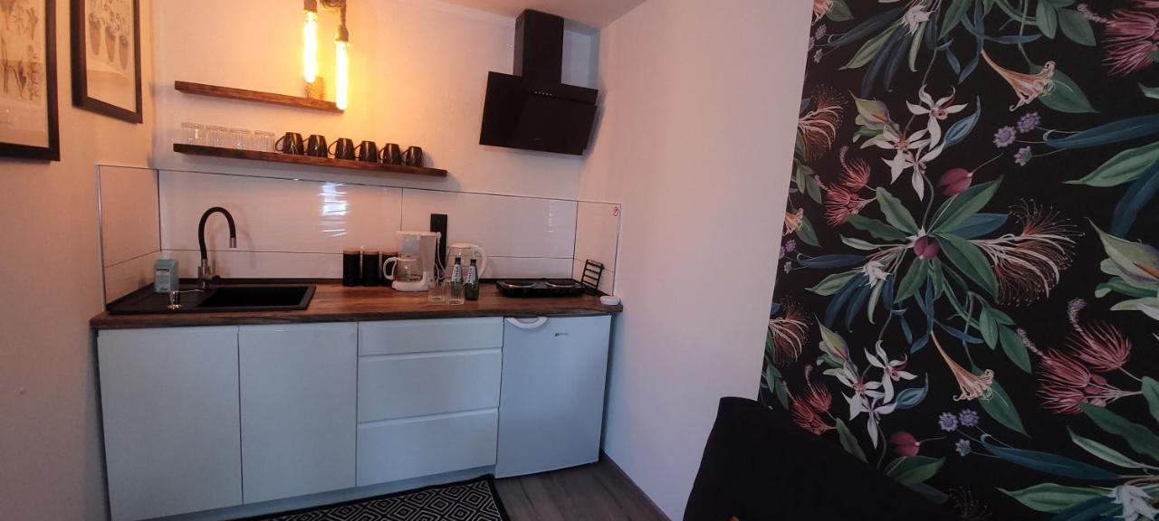 Apartamenty Pod Uwalonym Debem Jezow Sudecki Dış mekan fotoğraf