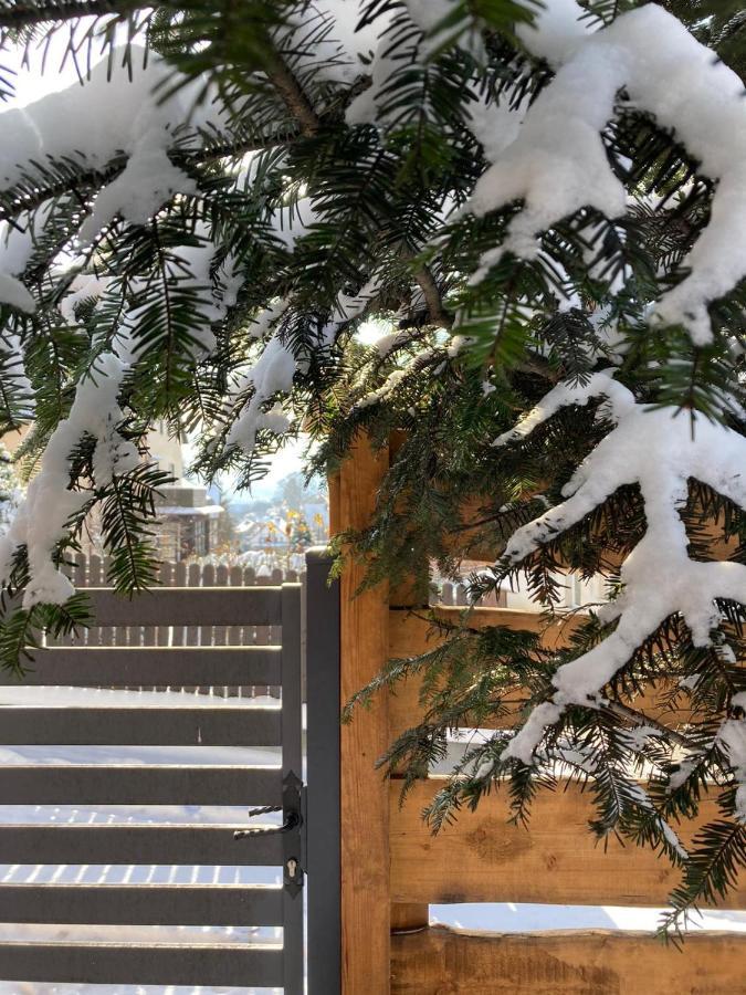 Apartamenty Pod Uwalonym Debem Jezow Sudecki Dış mekan fotoğraf